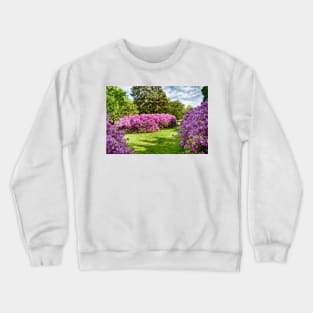 Spring Colors Crewneck Sweatshirt